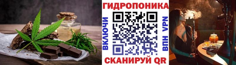 закладки  Сурск  Cannafood конопля 